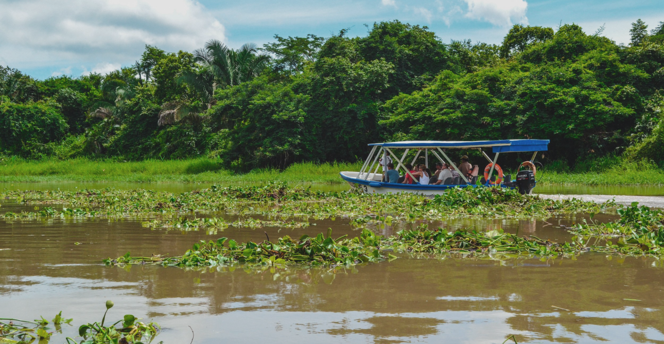 Into the wild of Palo Verde | River tour