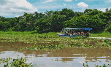 Into the wild of Palo Verde | River tour